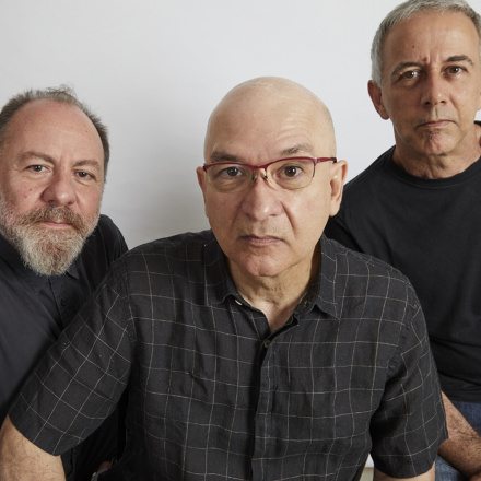 paralamas